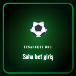 Saha bet giriş ekranında kullanıcı adını ve şifresini giren birisi.